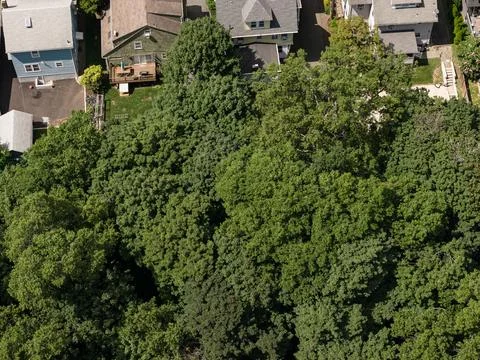 Aerial drone view of tree-lined residential neighborhood with detached homes Stock Photos