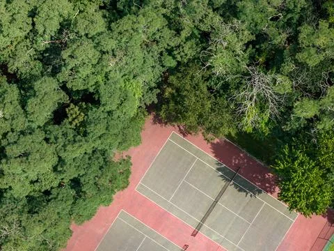 Aerial drone view of tree-lined residential neighborhood with detached homes 스톡 사진
