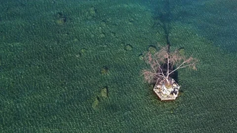 Aerial drone view of a tree in the middle of the lake Stock Footage 169542901