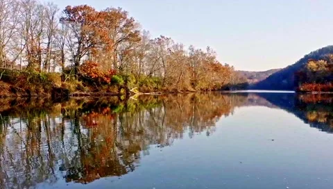 Aerial drone view of the trees and Missouri river Stock Footage 147950601