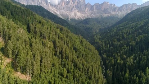 Aerial Drone view of trees top of forest Italian Dolomites Alps Santa Magdalena Stock-Footage 91199504