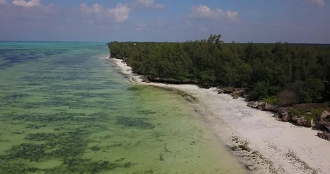 Aerial Drone View Of Tropical Beach Matemwe Village in Unguja, Tanzania Zanzibar Stock Footage 90492132
