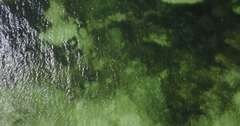 Aerial Drone View Of Tropical Beach Matemwe Village in Unguja, Tanzania Zanzibar Stock Footage 90492147