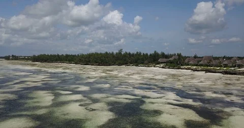 Aerial Drone View Of Tropical Beach Matemwe Village in Unguja, Tanzania Zanzibar Stock Footage 90493265