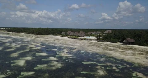 Aerial Drone View Of Tropical Beach Matemwe Village in Unguja, Tanzania Zanzibar Stock Footage 90493374