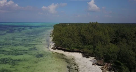 Aerial Drone View Of Tropical Beach Matemwe Village in Unguja, Tanzania Zanzibar Stock Footage 90493480