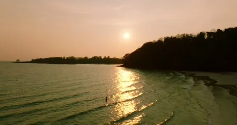 Aerial drone view of the tropical beach with white sand and palm tree at the Stock-Footage 239714701
