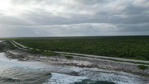 Aerial Drone View of a Tropical Beach in Mexico 7 Stock Footage 321146151