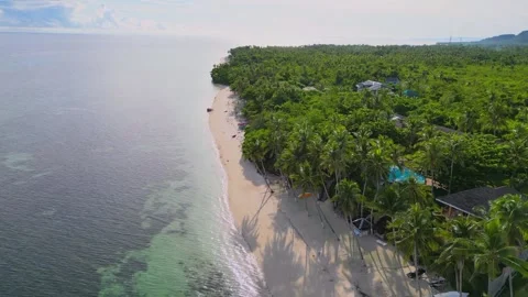 Aerial drone view of tropical beach coastline with palm trees 動画素材 345592569