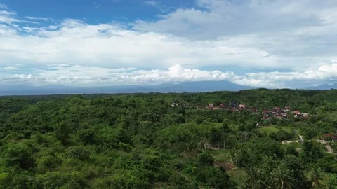 Aerial Drone View Of Tropical Forest And Rural Village In Bali Indonesia Stock Footage 336323007