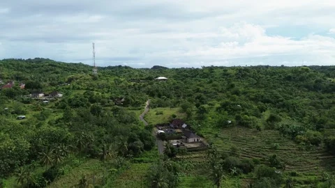 Aerial Drone View Of Tropical Forest And Rural Village In Bali Indonesia Stock Footage 336323181