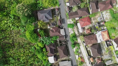 Aerial Drone View Of Tropical Forest And Rural Village In Bali Indonesia Stock Footage 336323319