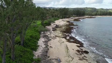 Aerial Drone view of Turtle Bay, Oahu Stock Footage 241281751