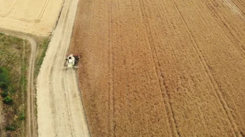 Aerial drone view of two harvesters working in the field Stock Footage 289775734