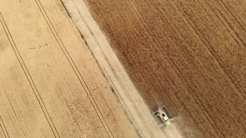 Aerial drone view of two harvesters working in the field Stock Footage 289777582