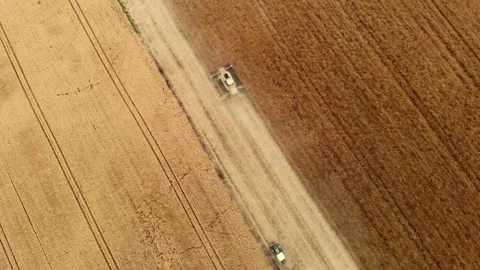 Aerial drone view of two harvesters working in the field Stock Footage 289778379