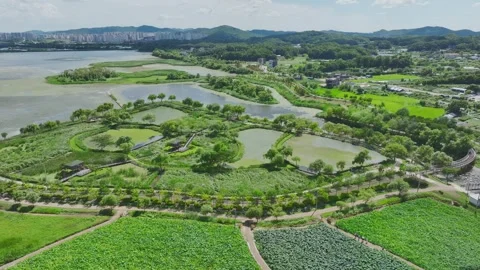 Aerial Drone View of Uiwang Station Cityscape and Wangsong Lake Park Stock Footage 342107544