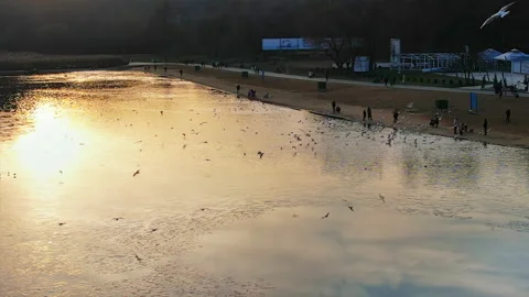 Aerial drone view of Valea Morilor Park in Chisinau at sunset, Moldova. Lake Stock Footage 229753898