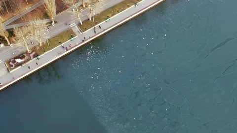 Aerial drone view of Valea Morilor Park in Chisinau, Moldova. Lake with walking Stock Footage 229753899