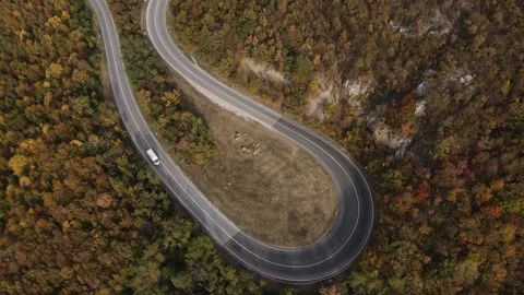 Aerial Drone View Van Driving on Curvy Mountain asphalt Road in autumn Stock Footage 254025176
