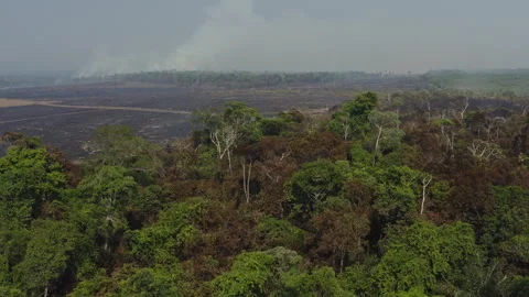 Aerial drone view of a vast burned area in the southern Amazon rainforest, with Stock Footage 340276485