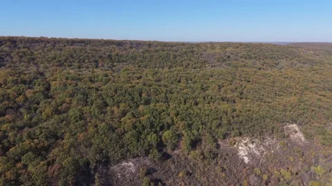 Aerial drone view of vast forest landscape under blue sky Stock Footage 320453391