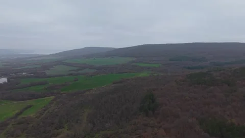 Aerial drone view of vast forest landscape under cloudy winter sky Stock Footage 323321968
