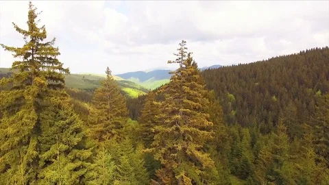 Aerial drone view with vertical ascending motion Video stock 75869067