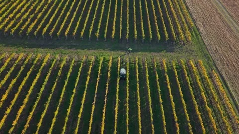 Aerial drone view of vineyard tractor turning at end of row. Stock Footage 338374139