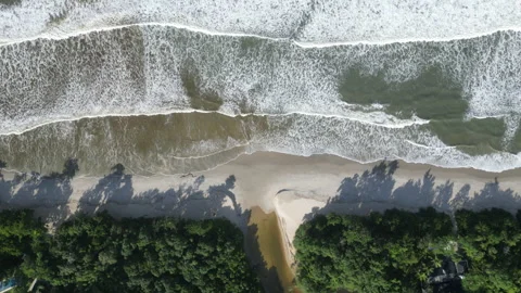 Aerial drone view of waves at beautiful tropical beach in Brazil Stock Footage 334751152