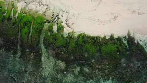Aerial drone view of waves breaking on a rocky beach shoreline Stock Footage 143511816