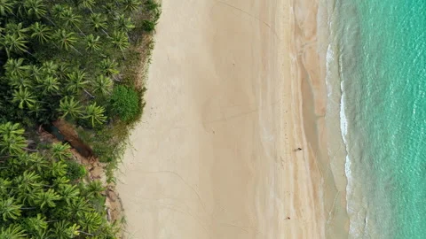 Aerial drone view of waves washing onto an empty stretch of white-sand beach Stock Footage 336666062