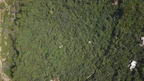 Aerial drone view of a white cable car ride over a lot of vegetation and a river Stock Footage 198795668