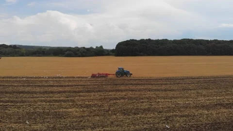 Aerial drone view of white storks feeding on plowed by tractor agricultural Stock Footage 147497101