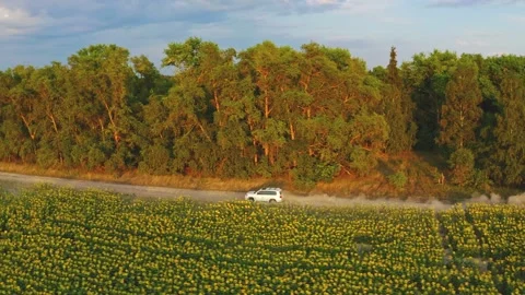 Aerial drone view: White suv car is fast driving on rural road. Drone is foll Stock Footage 138259452