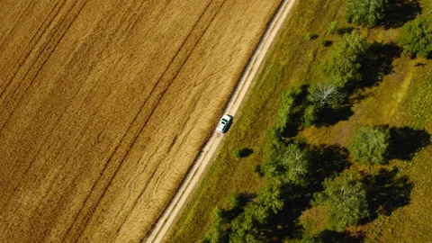 Aerial drone view: White suv car is going on rural road near the wheat field. Stock Footage 150853841