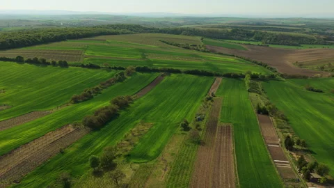 Aerial drone view of wide patchwork farmland with green crop strips, plowed Stock-Footage 336615878