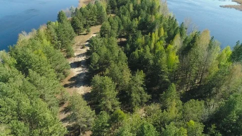 Aerial drone view of wild forest island on Dnipro river in Ukraine Stock Footage 129969924