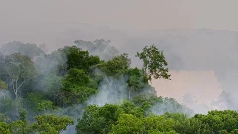 Aerial drone view of wildfire smoke drifting over the southern Amazon Stock Footage 340295105