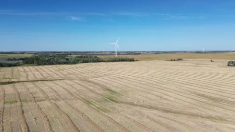 Aerial drone view of a wind farm over vast agricultural fields. Stock Footage 316638268