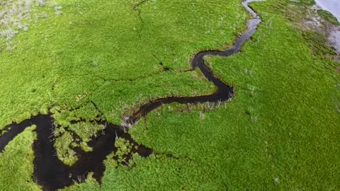Aerial drone view of a winding dark water stream cutting through lush green Stock Footage 315678110