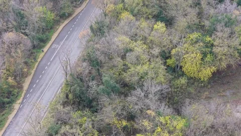 Aerial drone view of winding forest road with autumn colorful trees Stock Footage 321485899