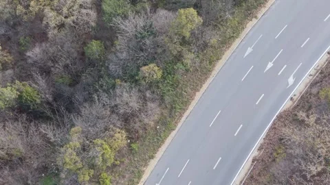Aerial drone view of winding forest road during calm autumn season Stock Footage 322902075