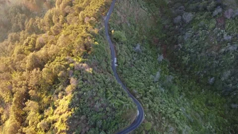 Aerial drone view of a winding mountain road crossing the forested slopes Stock Footage 342703446