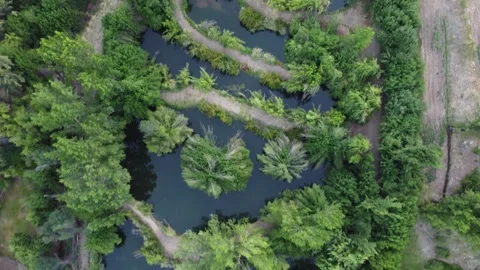 Aerial drone view of winding river through lush green landscape in Chile Stock Footage 334813817
