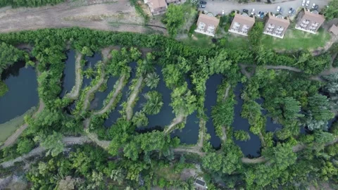 Aerial drone view of winding river through lush green landscape in Chile Stock Footage 334813878