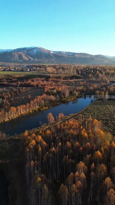 Aerial Drone View of a Winding River Through Golden Autumn Forests Stock Footage 348246751