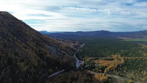 Aerial Drone View of a Winding River Through a Golden Autumn Mountain Forest Video stock 348247688