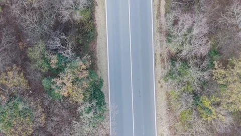 Aerial drone view of winding road through autumn forest landscape Stock Footage 322902003