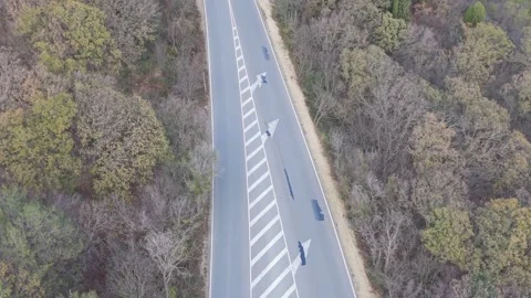 Aerial drone view of winding road through autumn forest landscape Stock Footage 322902005